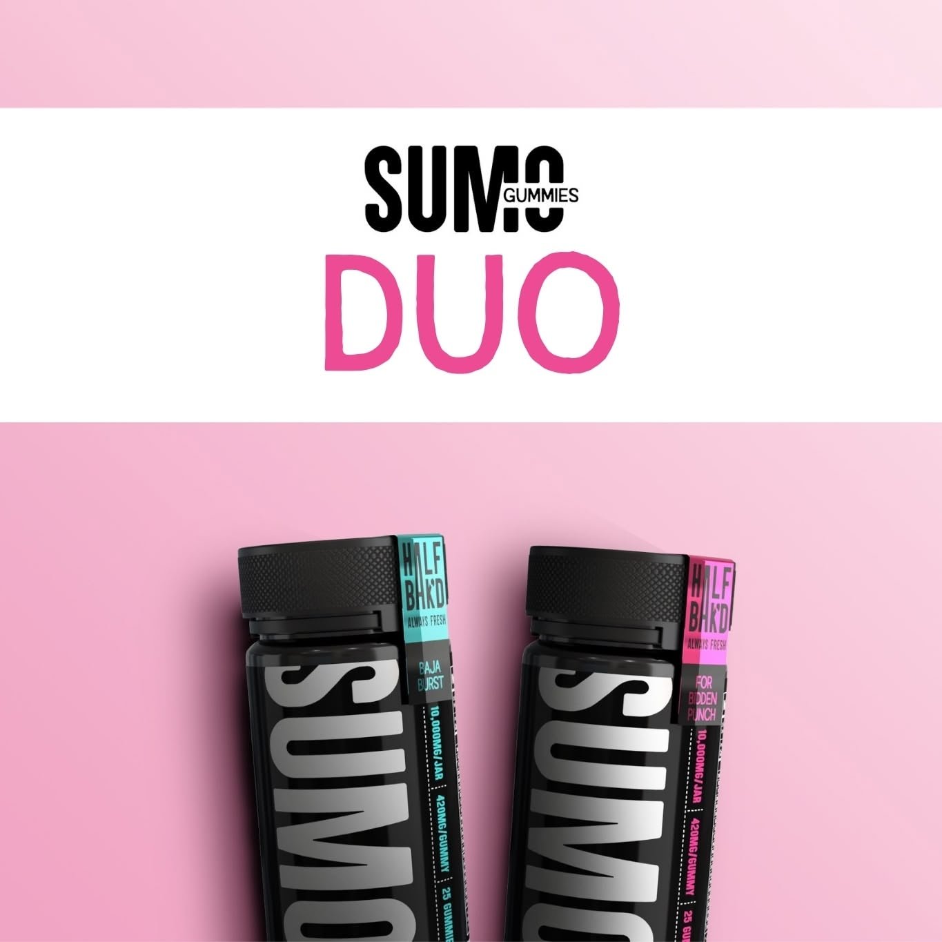 Sumo-Duo-HALF-BAK-D-Gummies-1-42218959798561-1.jpg SUMO Gold Duo | Bluematic Razz + Mango Lychee - Image 1